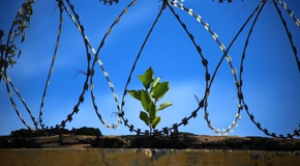 CURS: Procediments i orientacions metodològiques per al treball socioeducatiu en l’àmbit penitenciari: l’ES a presons