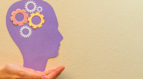 Càpsula Teixint camins