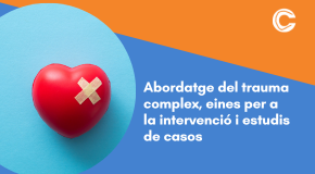 CURS EN LÍNIA: Abordatge del trauma complex, context i eines per a la intervenció i estudi de casos