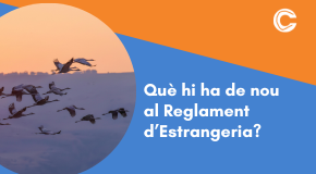 CURS EN LÍNIA: Què hi ha de nou al Reglament d’Estrangeria?