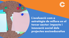 CURS EN LÍNIA: L’avaluació com a estratègia de millora en el tercer sector: impacte i innovació social dels projectes socioeducatius