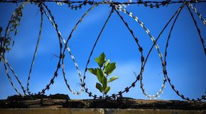 CÀPSULA: L’educador/a social i els drets de les persones preses. Hi tenim alguna cosa a dir?