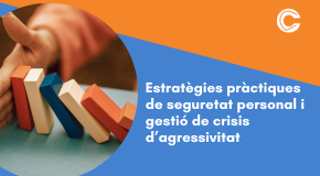 CURS PRESENCIAL: Estratègies pràctiques de seguretat personal i gestió de crisis d’agressivitat
