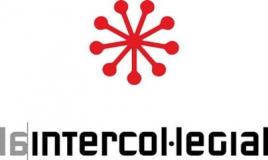 Webinar intercol·legial. Relacions dels col·legis professionals i la ciutadania amb les institucions públiques. Més enllà dels consells de participació