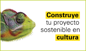 CURS ON LINE: Construye tu proyecto en cultura. Herramientas para Camaleones