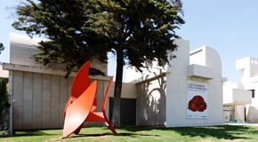 EDUCA AMB L'ART: Formació d'arts visuals i moviment