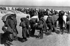 Instal·lació fotogràfica: “No oblidem (1939). Sobre el refugi i la nostra història”