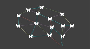 ESPAI DE REPRESENTACIÓ INSTITUCIONAL: Mutare plenària 2025