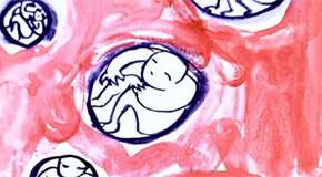 Formacions experiencials a la Fundació Carulla: Personatges interns